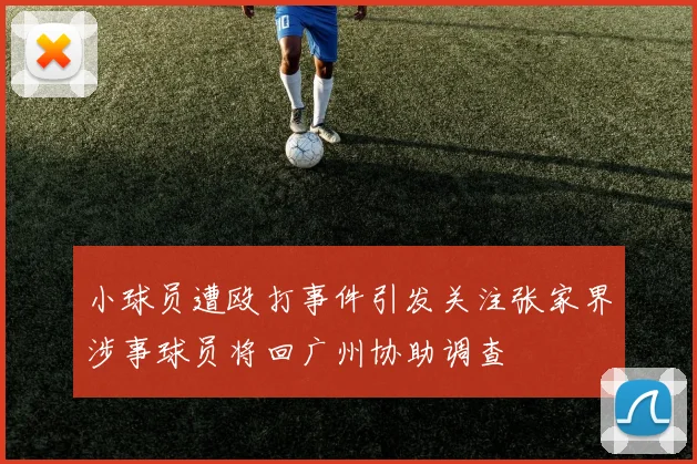 小球员遭殴打事件引发关注张家界涉事球员将回广州协助调查