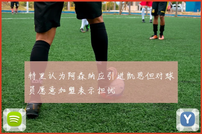 特里认为阿森纳应引进凯恩但对球员愿意加盟表示担忧